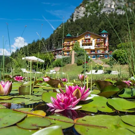 Alp Wellness Sport Panorama 4*