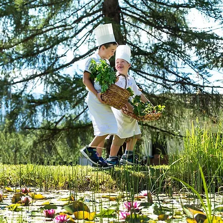Alp Wellness Sport Panorama Hotel 4*